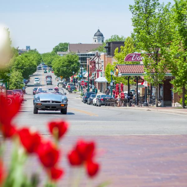 Classic car drives past tulips on Kirkwood in Bloomington