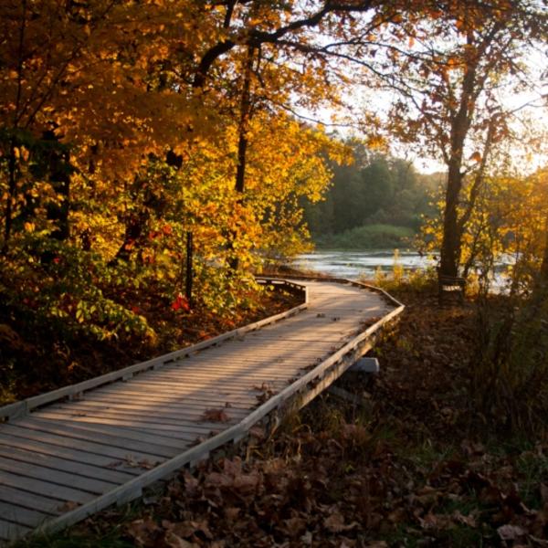 Top Picks: Camping and Cabins in Bloomington, Indiana