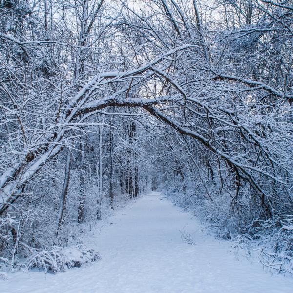 The Rail Trail Covered in Snow