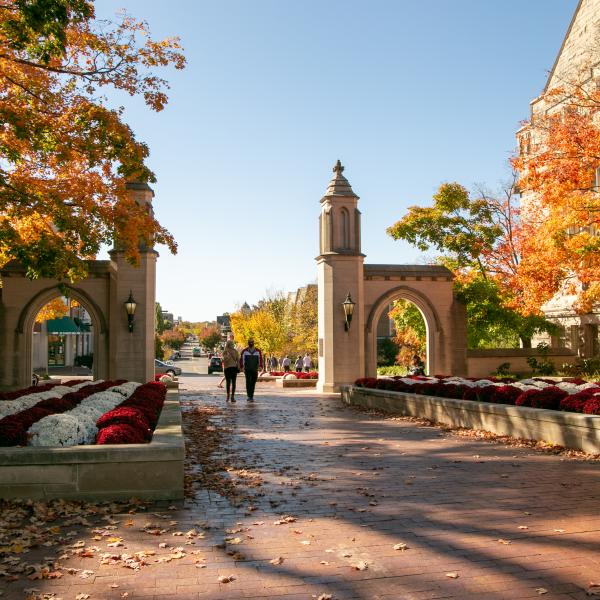 A couple holding hands while walking through Sample Gates