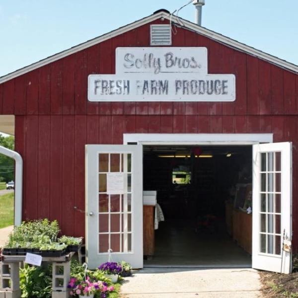 Solly Brothers Farm