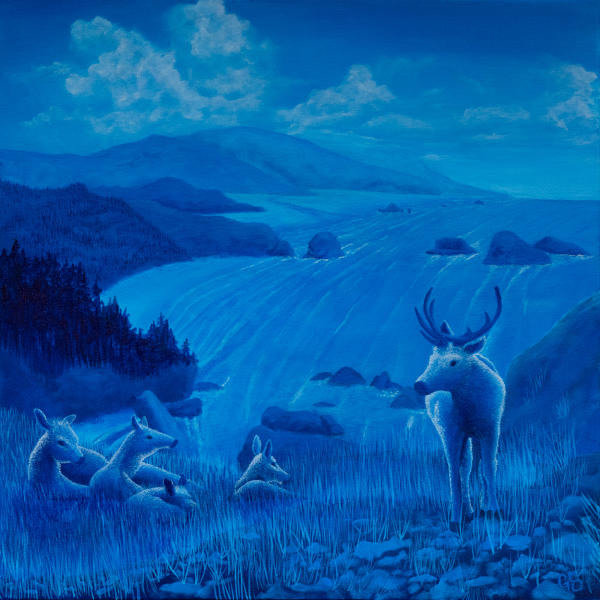 "Ecola Elk"