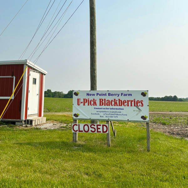 Blackberry Farm 1