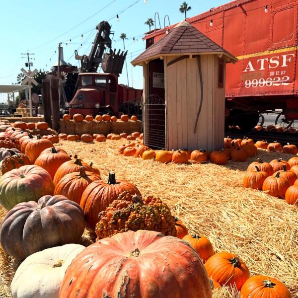 Simonian Farms