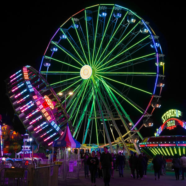 Everything You Need to Know about The Frisco Fair