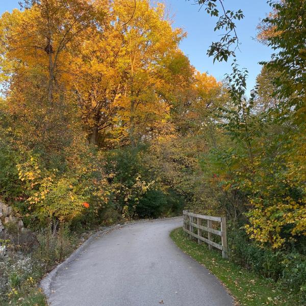 Bairds Creek