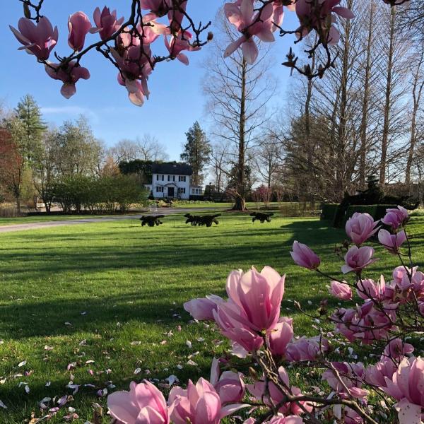 Springtime at Ladew Topiary Gardens