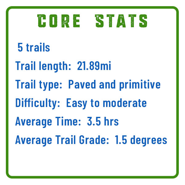 Green Belt Core Stats Graphic