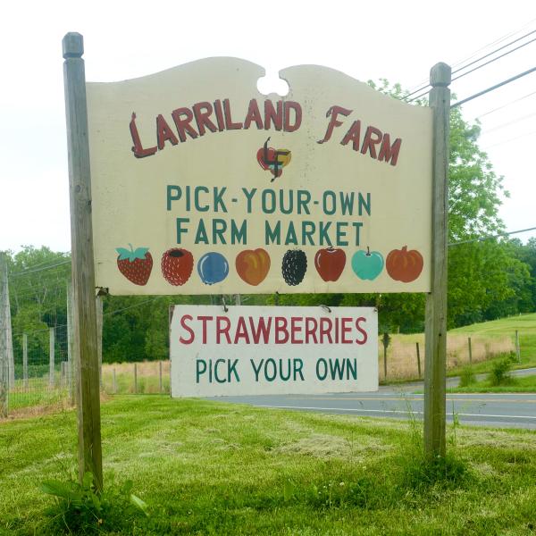 Larriland Farm