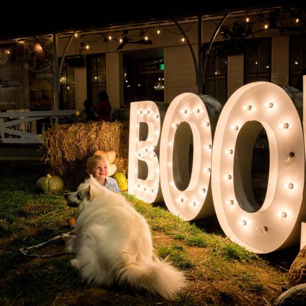 Merriweather District Spooktacular - Downtown Columbia - Boo Sign
