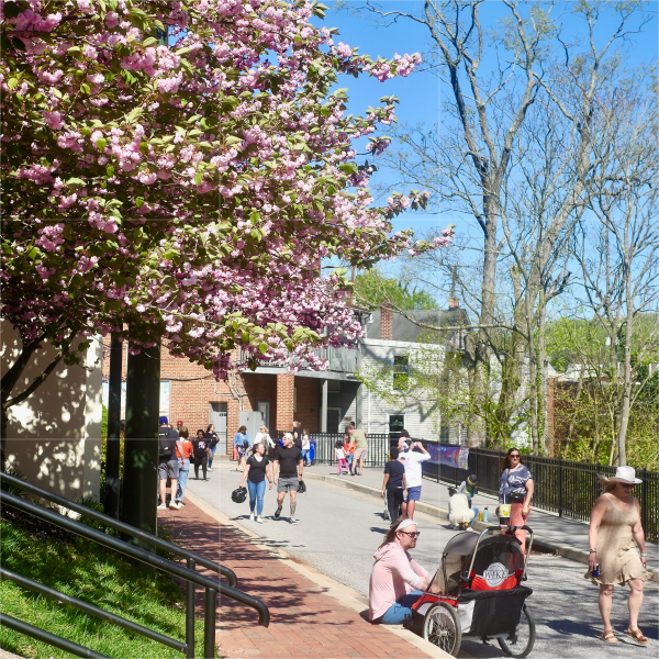 SpringFest 2024 Ellicott City