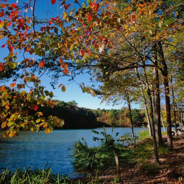 Fall foliage on a lake at Green Mountain Trail in Huntsville