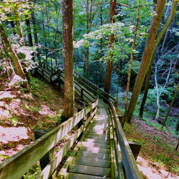 Complete The State Park Hiking Challenges