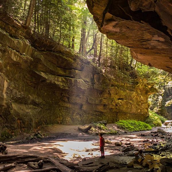 Turkey Run State Park