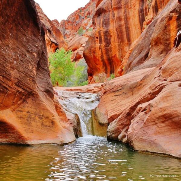 A small waterfall cascades into a green pool inside a narrow red rock canyon at Red Cliffs Recreation Area in Leeds, Utah, with smooth sandstone walls streaked in deep orange and rust, and a cluster of green trees visible in the canyon opening above.