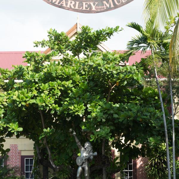 Bob Marley Museum statue