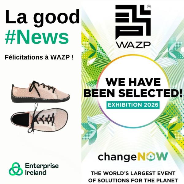 WAZP CHANGENOW