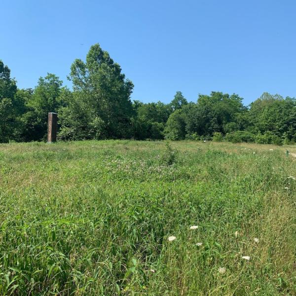 Natural grass and trees at the Hickory Trail Ijams