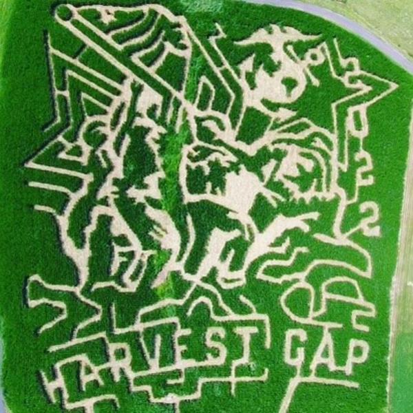 A corn maze cut in the shape of the flag raising on Iwo Jima with the words "Harvest Gap" underneath and "2022" on the right side