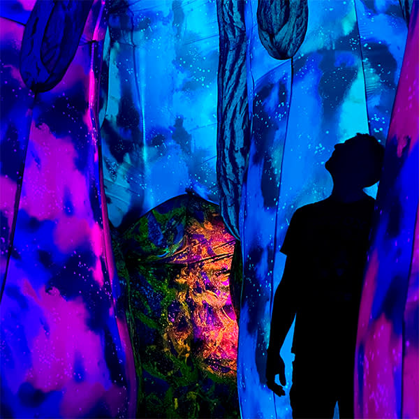 A silhouette of a person stands among glowing, abstract fabric structures illuminated by vivid neon colors of blue, purple, pink, and orange. The immersive installation features cosmic and organic patterns, creating a dreamlike, otherworldly atmosphere.