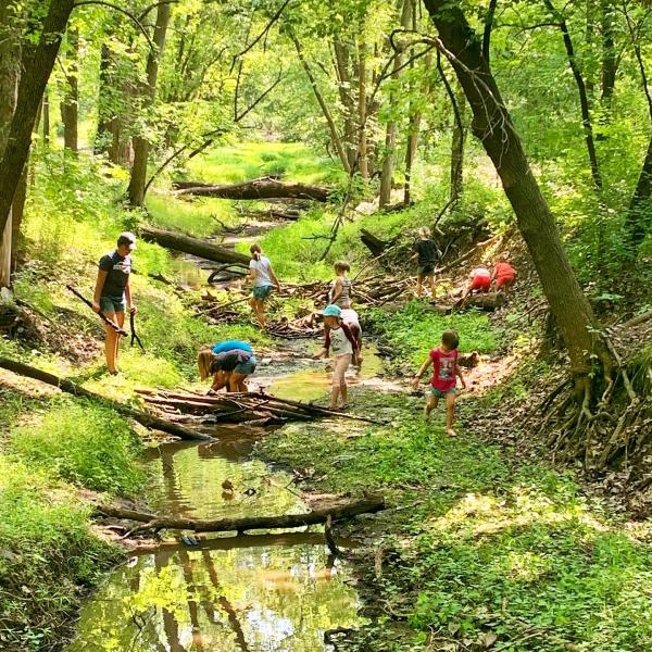 Kids exploring a woods