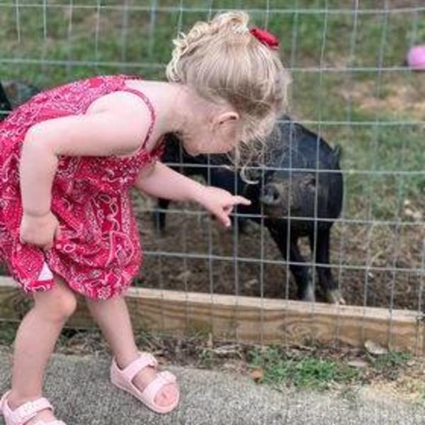 petting zoo