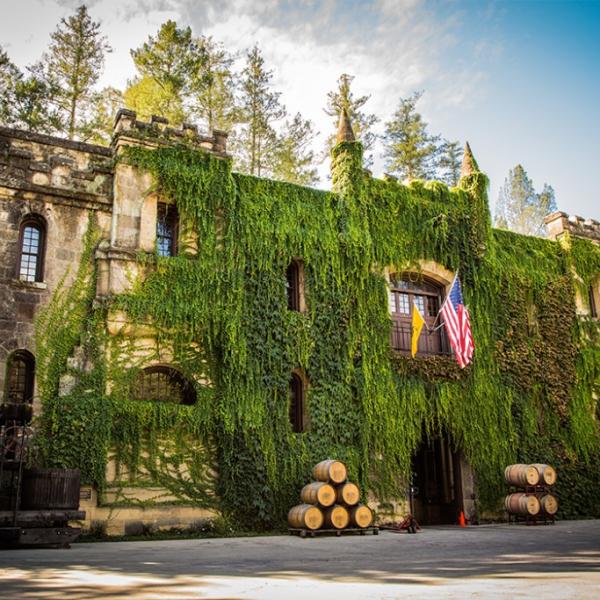 Best Time to Visit Napa Valley  Ideal Months and Seasons • Abroad with Ash