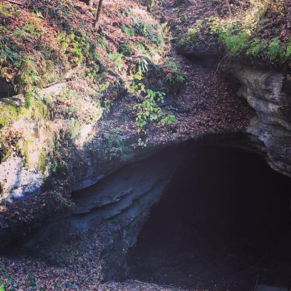 Mammoth Cave National Park