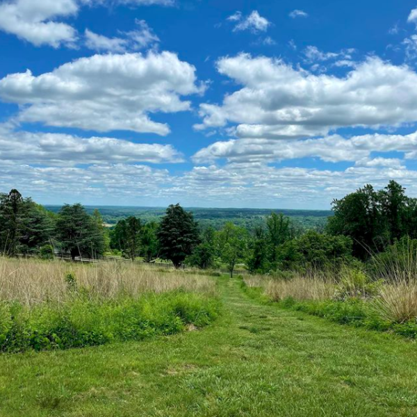 Blue Sys and an Open hiking path on Baldpate Mountain near Princeton, NJ