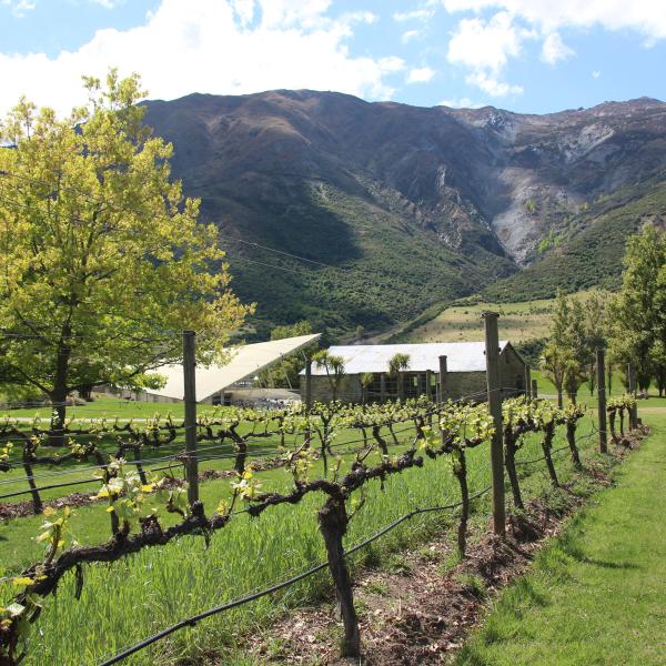 Peregrine Wines, Central Otago