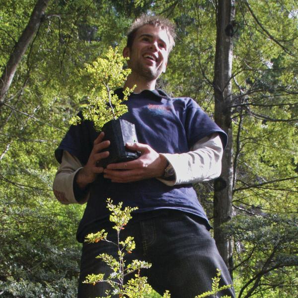Ziptrek Guide Ros Brannick planting a beech tree on course