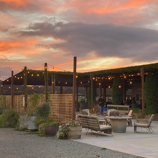 Berryessa Gap Vineyards