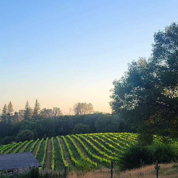 E16 Winery