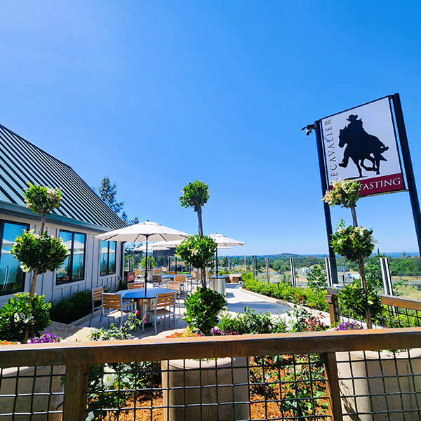 Lecavalier Cellars