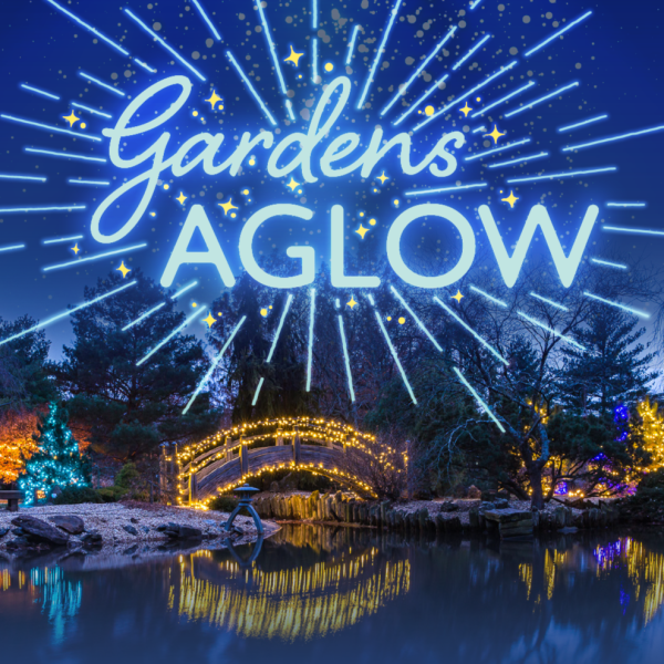 Holiday Lights at Gardens AGLOW