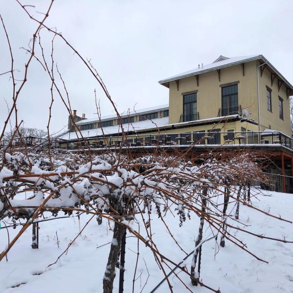 Chandler Hill Christmas