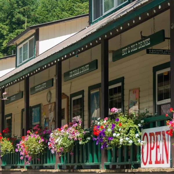ashford mansion bed and breakfast