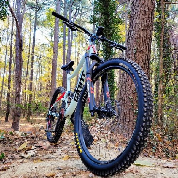 A mountain bike leaning against a tree 