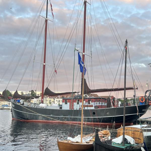 seilskute i solnedgang