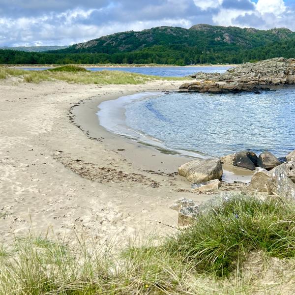 strand