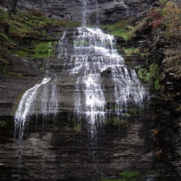 aunt sarah's falls