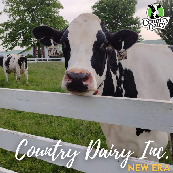 Country Dairy