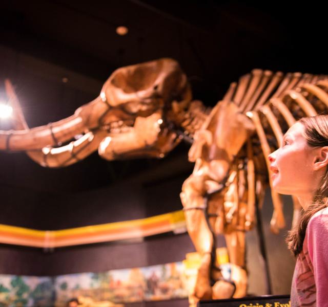 Holiday things to do in Harrisburg - Explore HBG