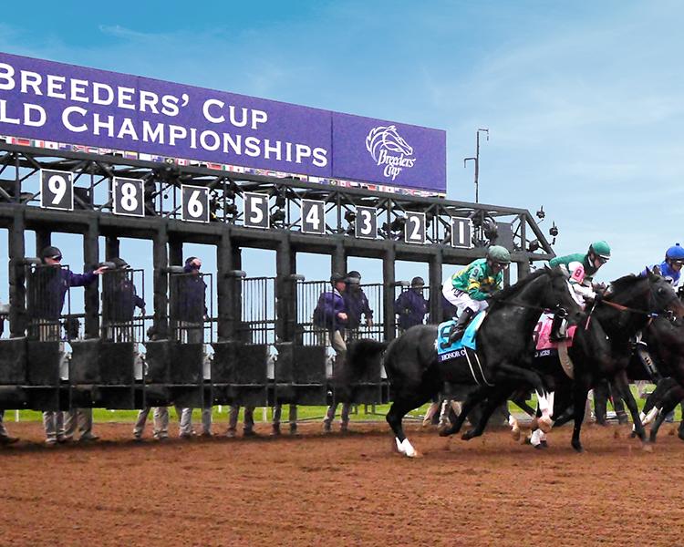 The Breeders' Cup Guide to Lexington