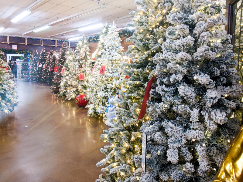 Decorator's Warehouse Trees