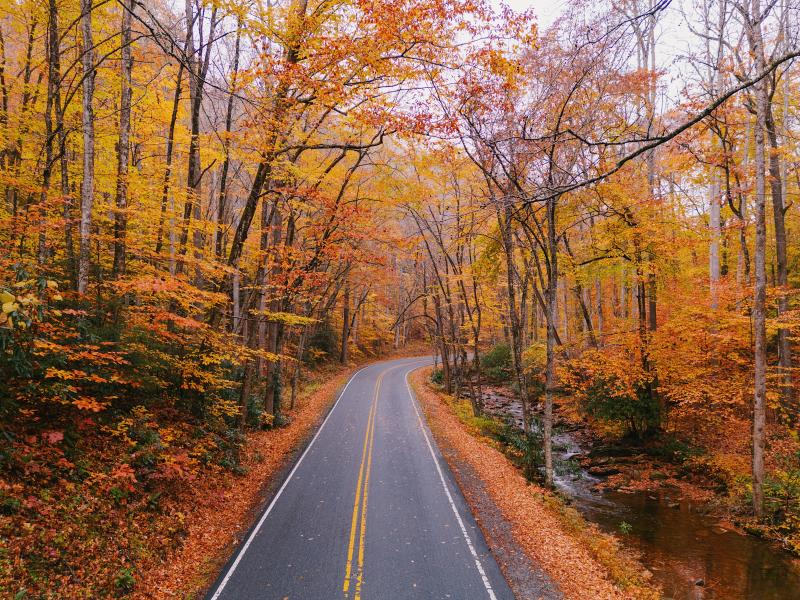 Cradle of Forestry in fall