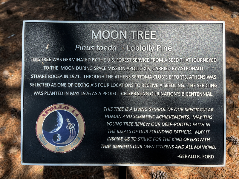 Athens Moon Tree Plaque