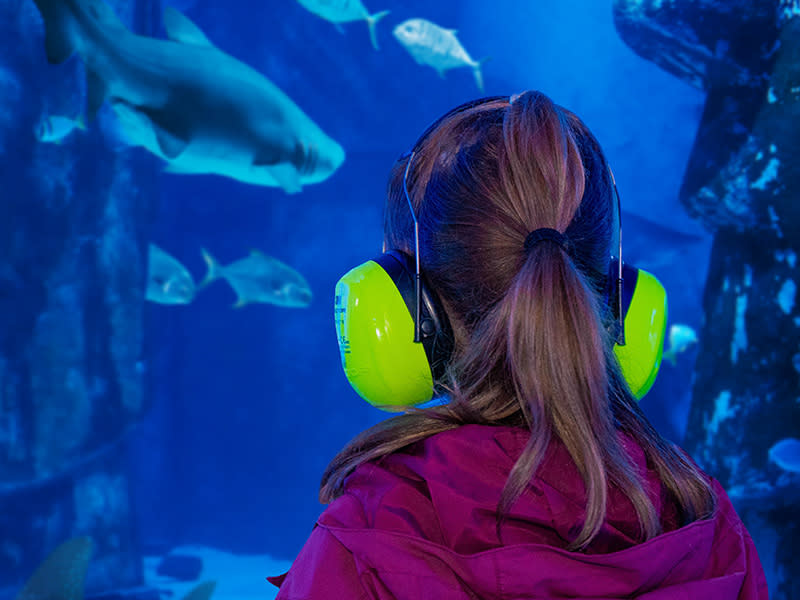 SEA LIFE Neurodiversity