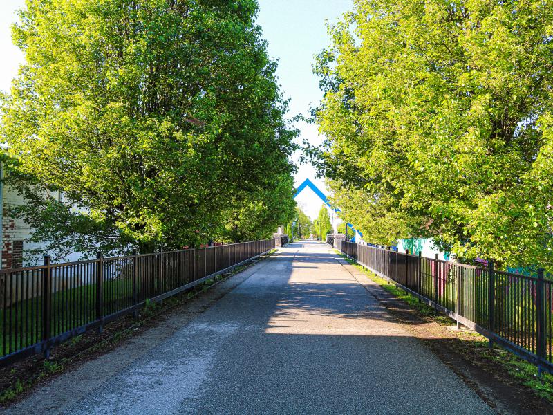 Vibrant green trees lining the B-Line Trail during spring