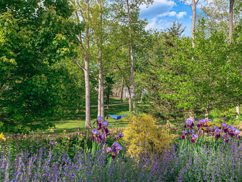 A person hammocking in Dunn Meadow